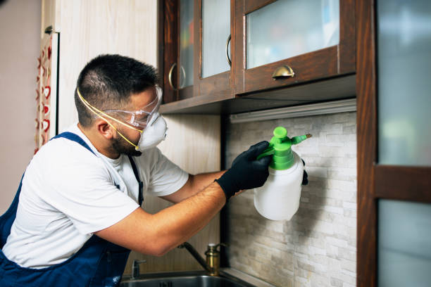 Best Affordable Pest Control Services  in Lemoore, CA