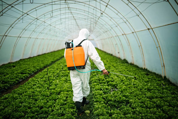 Best Pest Control Near Me  in Lemoore, CA