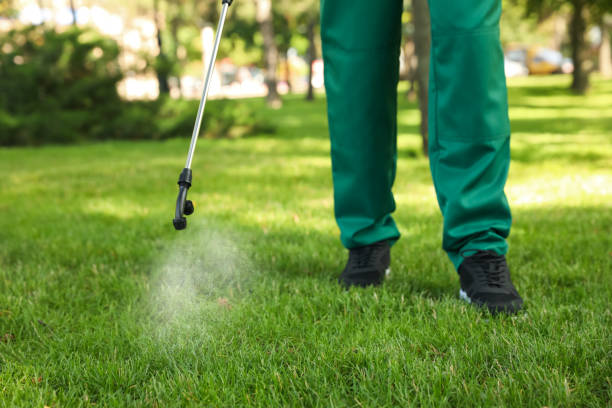 Wasp Removal Services in Lemoore, CA