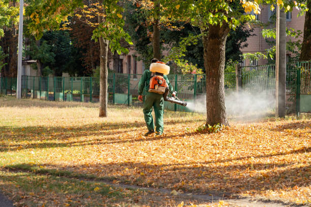 Pest Control for Restaurants in Lemoore, CA