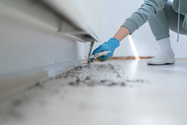 Best Exterminator Services  in Lemoore, CA